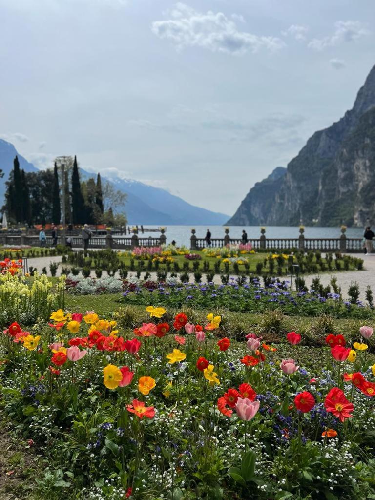 Absentia 1763 Garda Boutique Home - Lake Front Brenzone sul Garda Eksteriør bilde